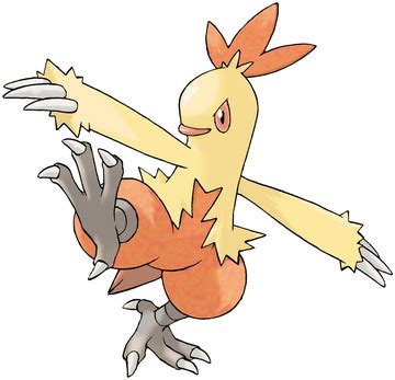 combusken moves